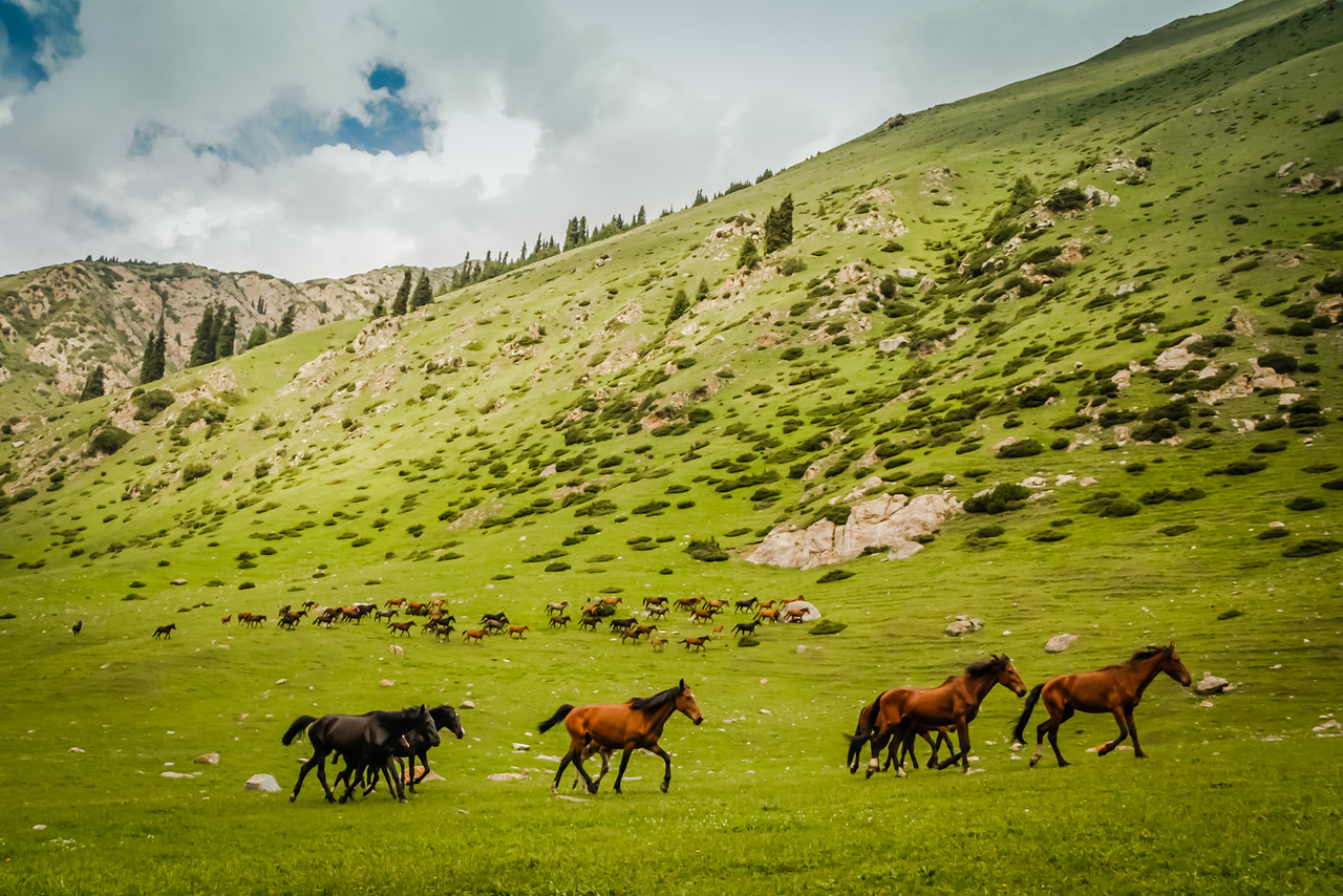 Day 2 - Chon-Kemin to Song-Kul Lake